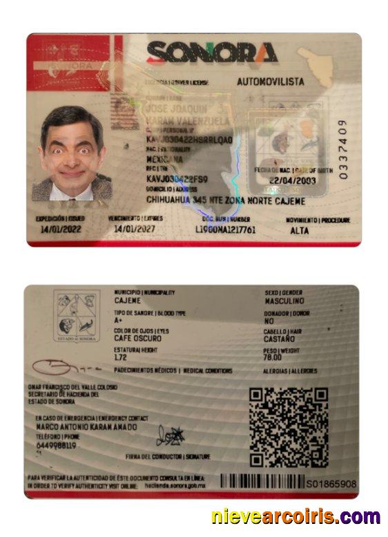 Mexico Sonora state driving license